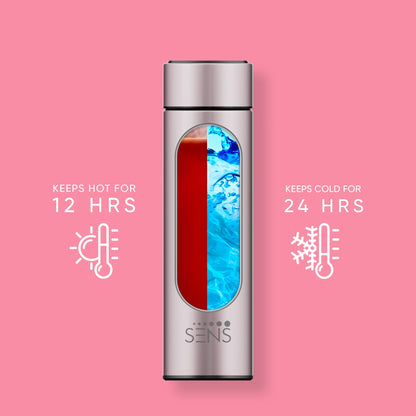 Hydra Smart 500ML Insulated Stainless Steel Bottle with Temperature Display & Tea Filter